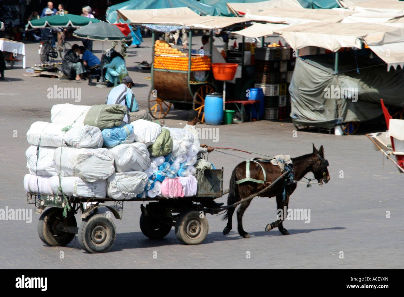 marrakech-donkey-cart-delivery-A8EYXN.jpg