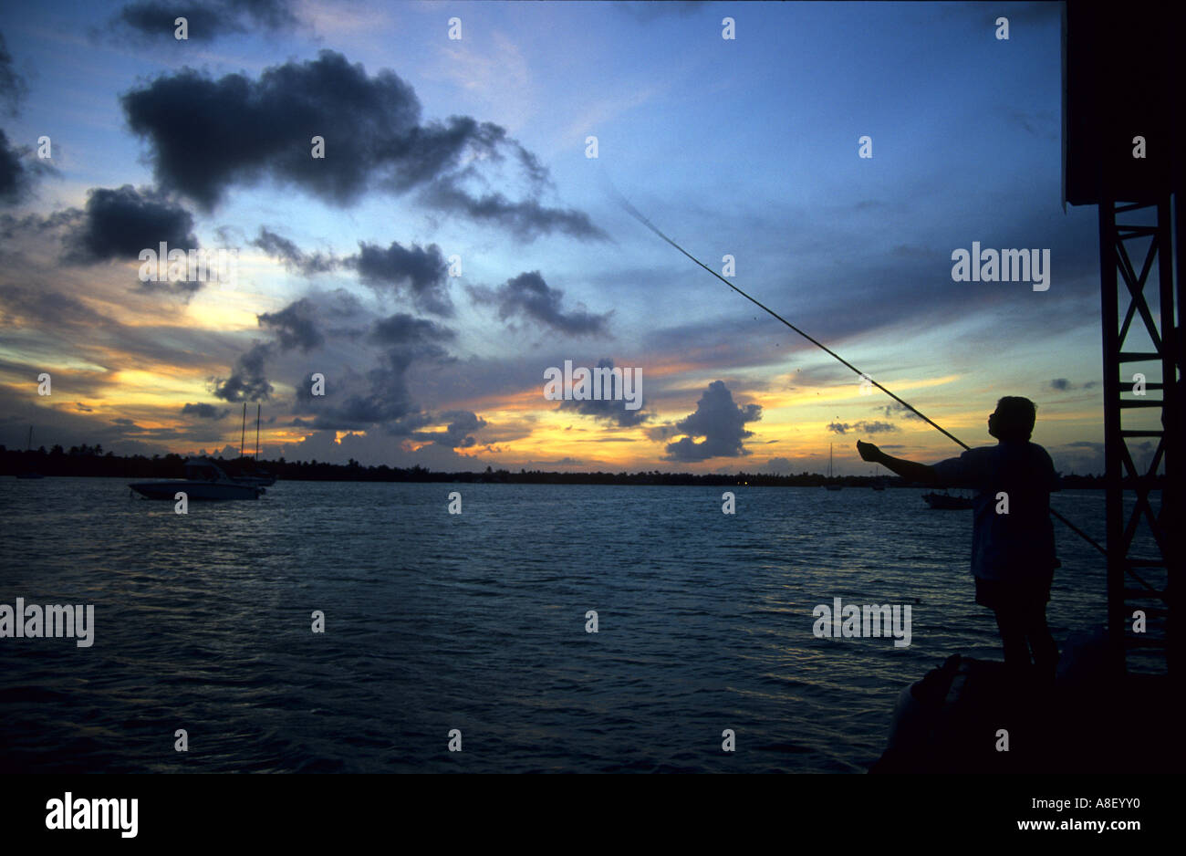 Fisherman with fishing rod big game fishing on boat Mauritius  Angler mit  Hochsee Angel auf Angelboot Mauritius Stock Photo - Alamy