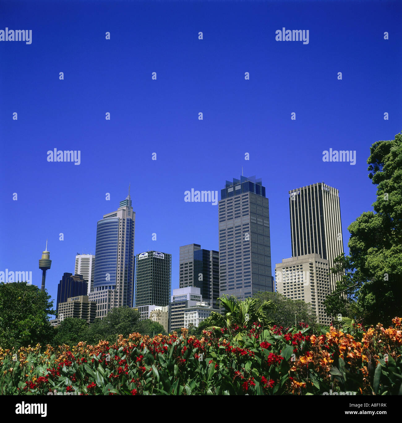 Sydney city skyline flowers hi-res stock photography and images - Alamy