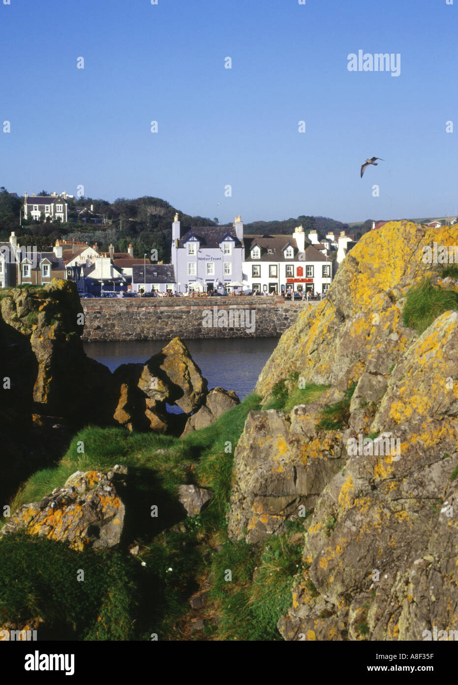 dh Harbour PORTPATRICK DUMFRIES Rocky harbour houses waterfront sea seagull bird Stock Photo