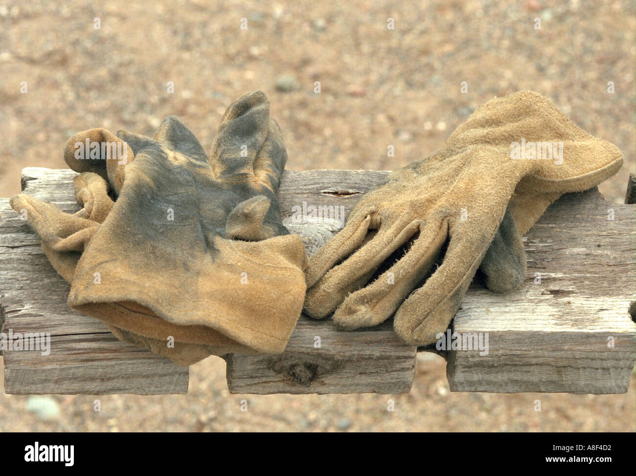 Rope burns on gloves used in rappelling . Camp Ripley Minnesota USA