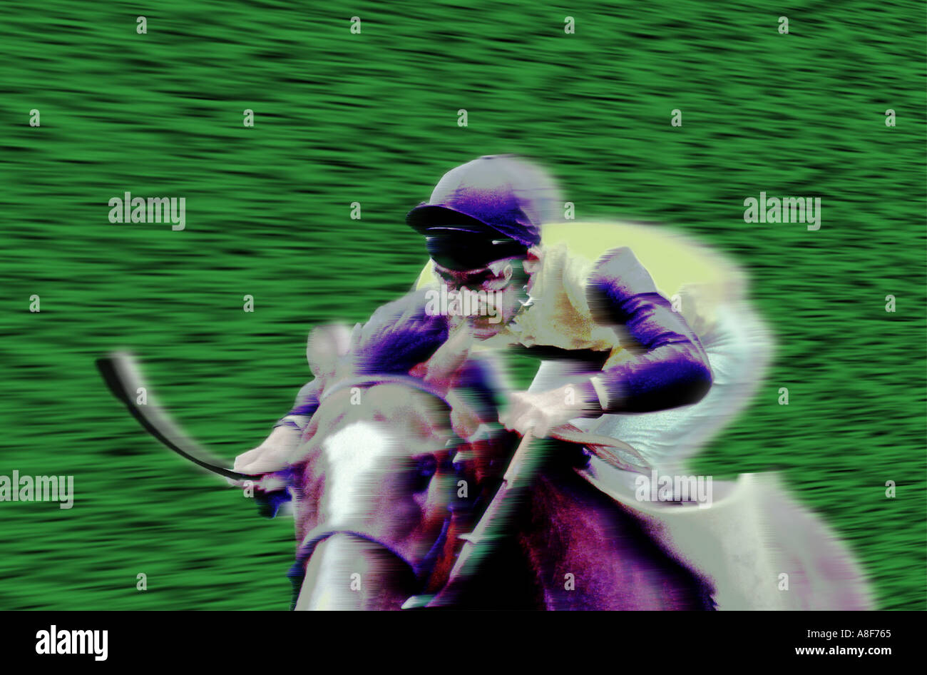 Jockey with whip on a race horse Stock Photo Alamy