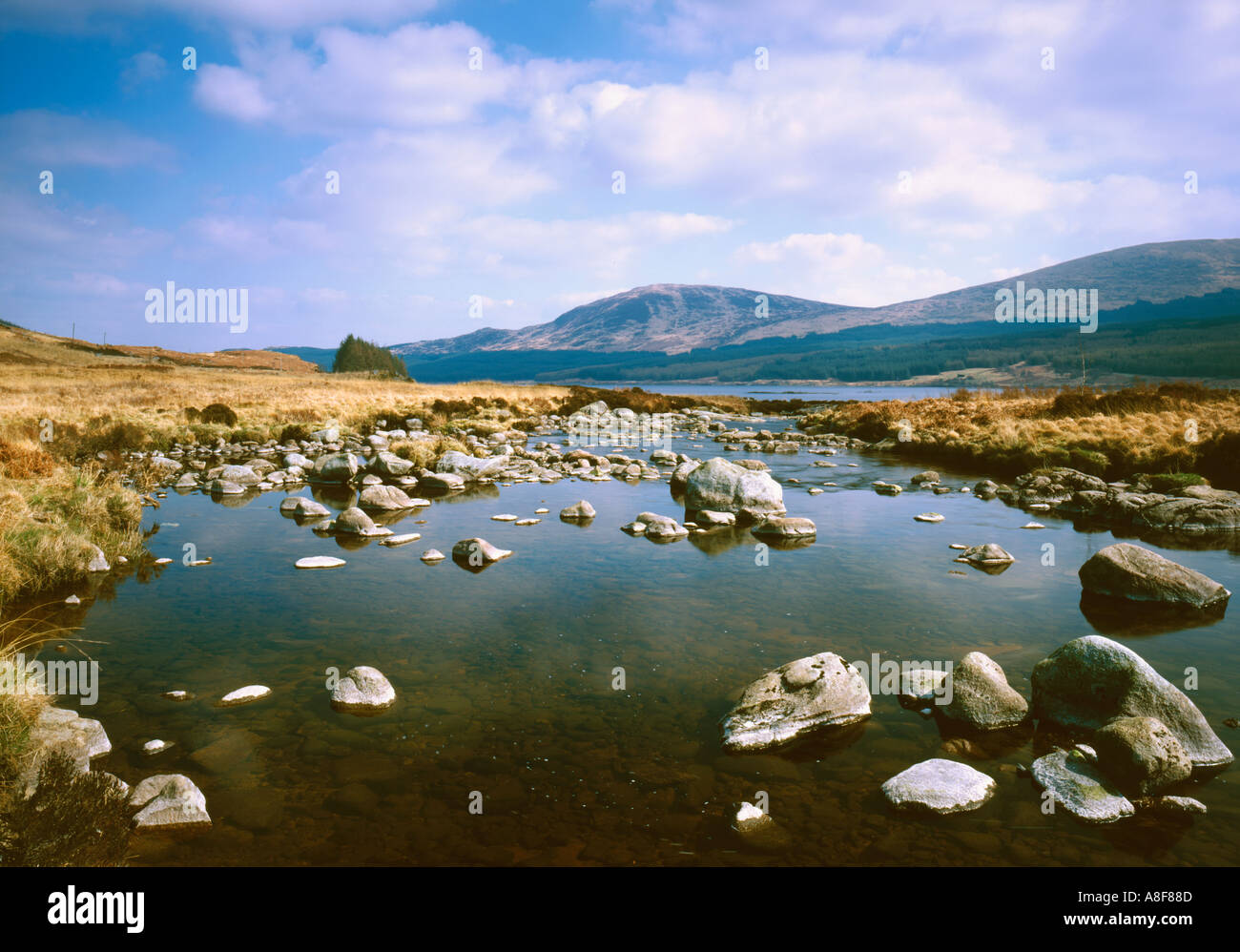 Carrick Lane Loch Doon Galloway Forest Park Dumfries and Galloway SW Scotland UK Stock Photo