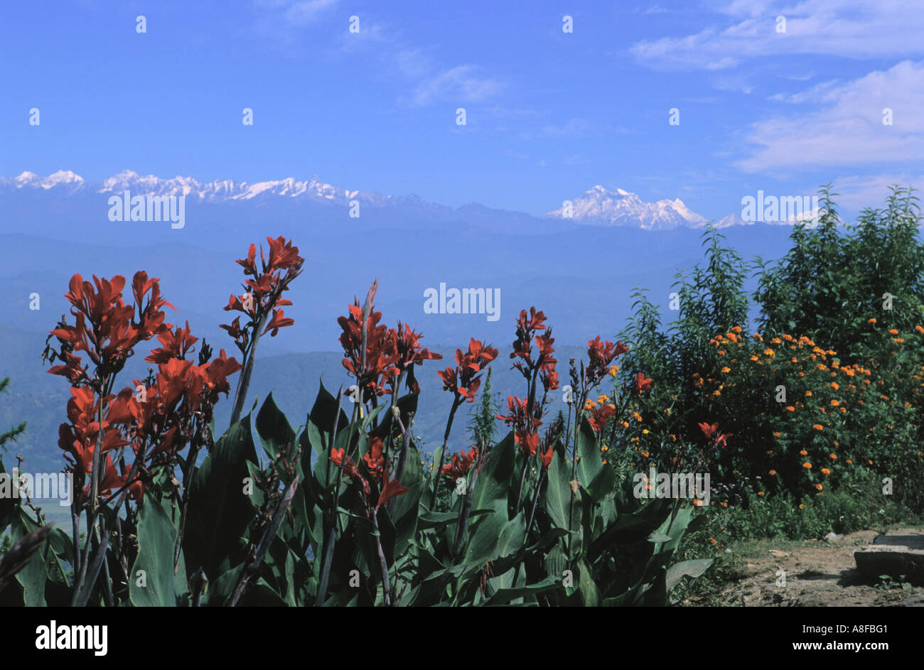 Himalayan mountain range hi-res stock photography and images - Alamy