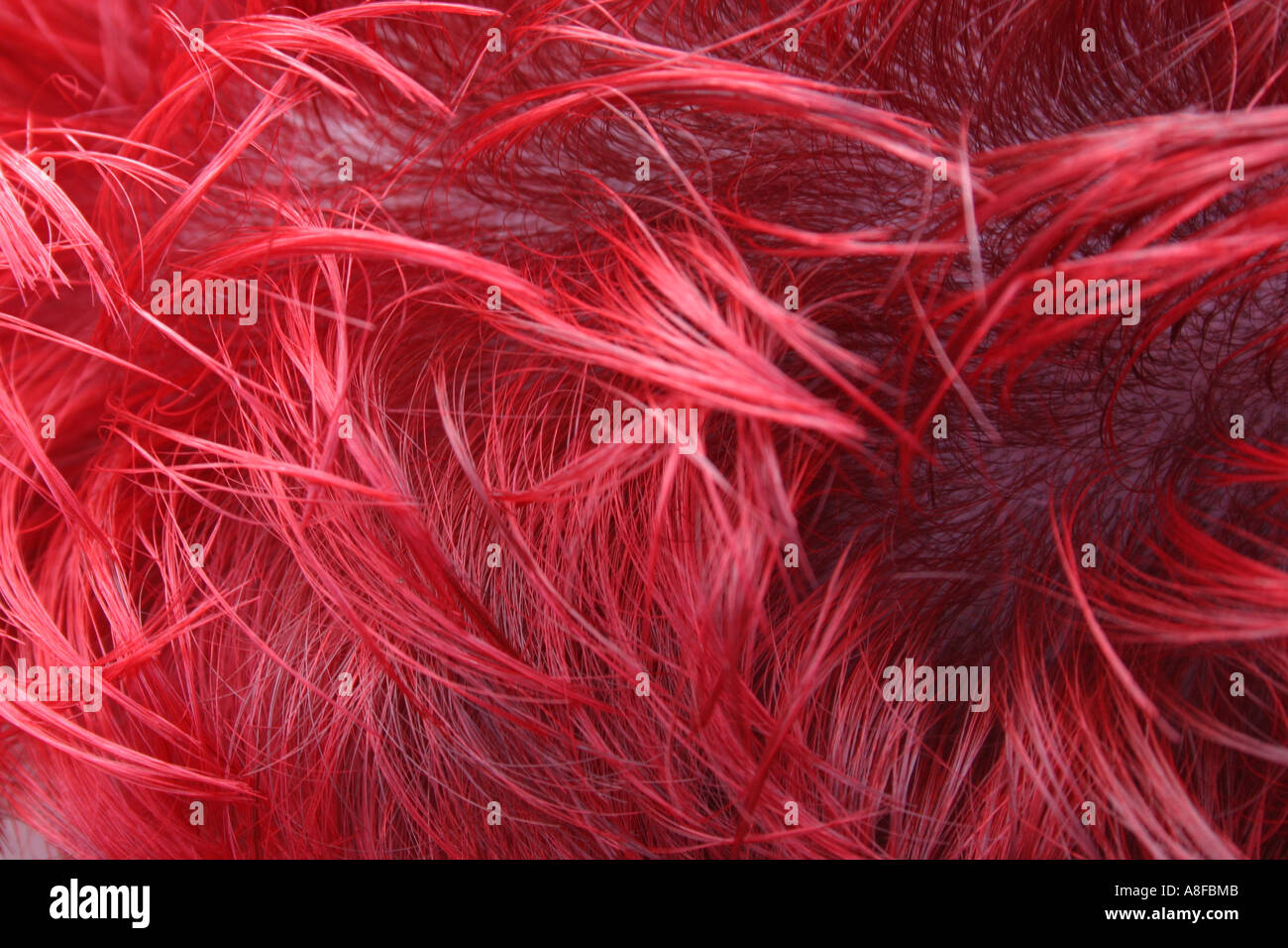 Dyed bright red hair Stock Photo