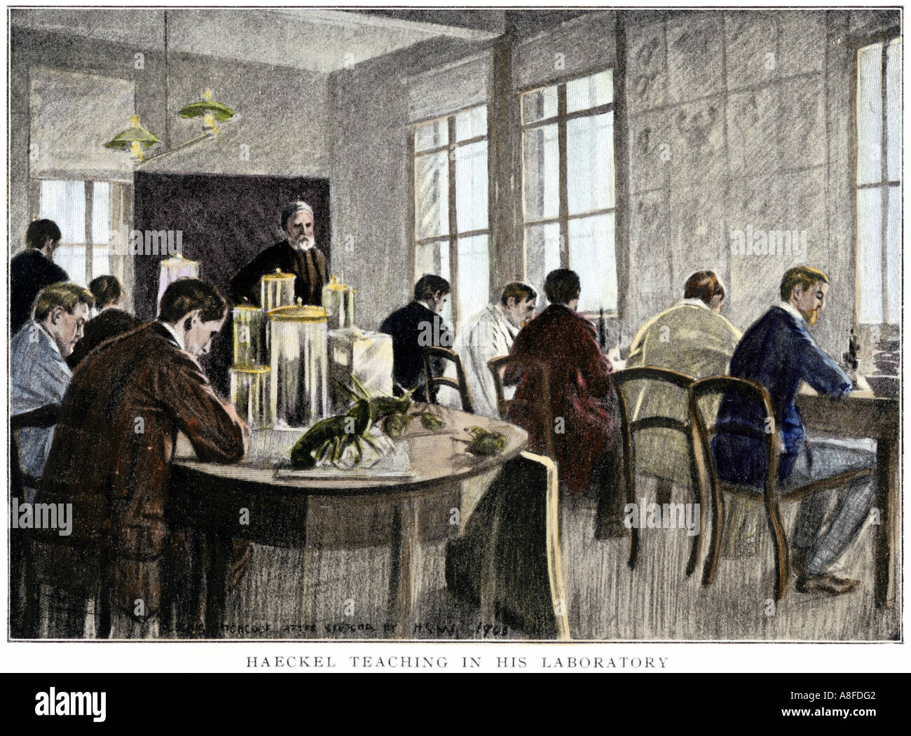 Ernst Haeckel teaching in his laboratory at Jena University in Germany. Hand-colored halftone of an illustration Stock Photo