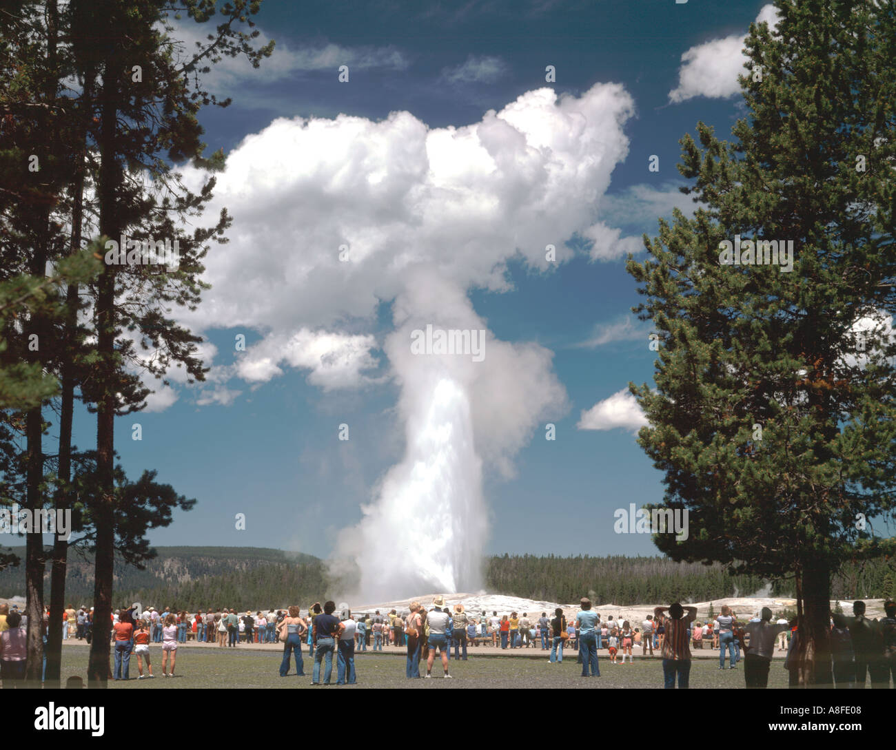 Yellowstone National Park Wyoming showing tourists at Old Faithful ...