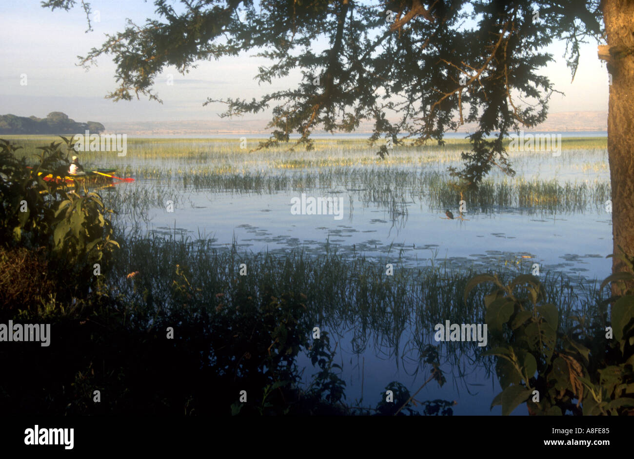 ETHIOPIA Lake Awassi Stock Photo - Alamy