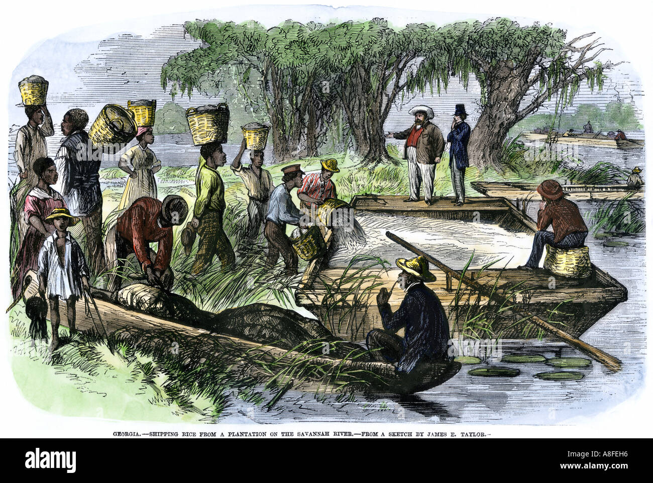 Plantation slaves loading rice to a barge on the Savannah River on the Georgia South Carolina border 1800s. Hand-colored woodcut Stock Photo