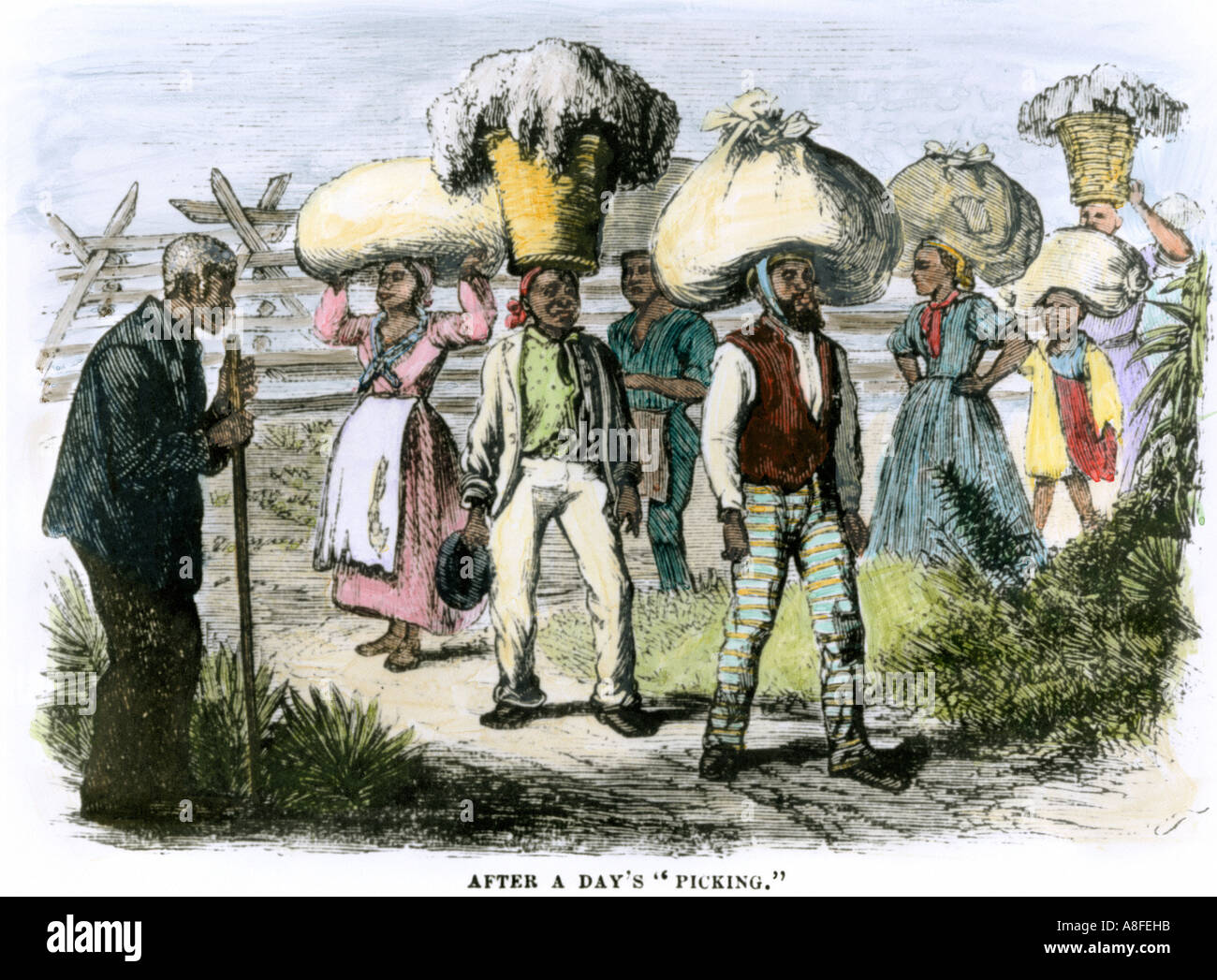African American slaves carrying cotton picked from the fields 1800s
