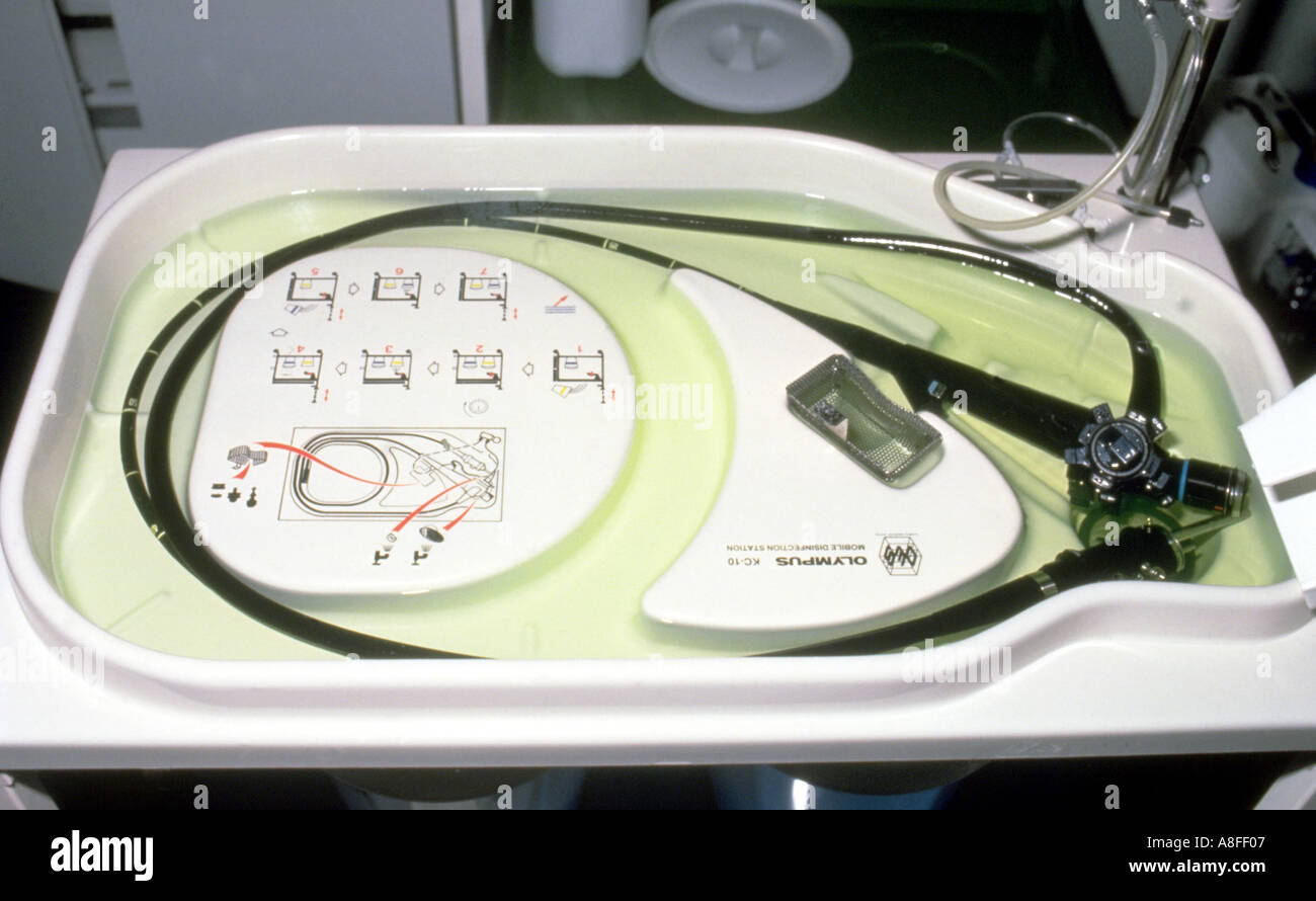 Endoscope disinfection Stock Photo Alamy