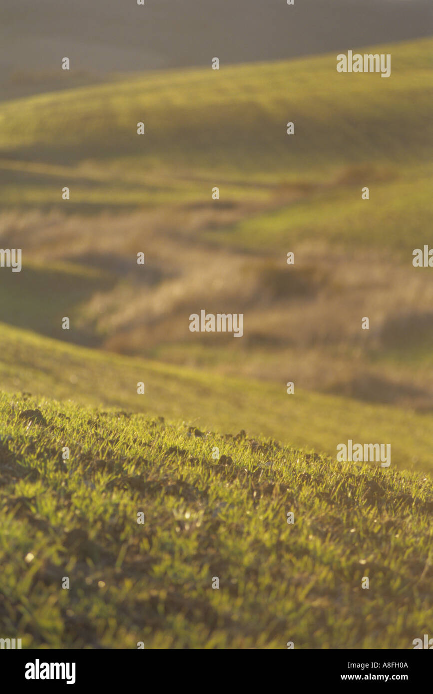 green fields in rolling hills Andalusia Spain Stock Photo