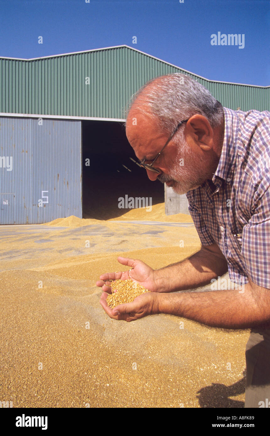 Farmer in grain storage Stock Photo
