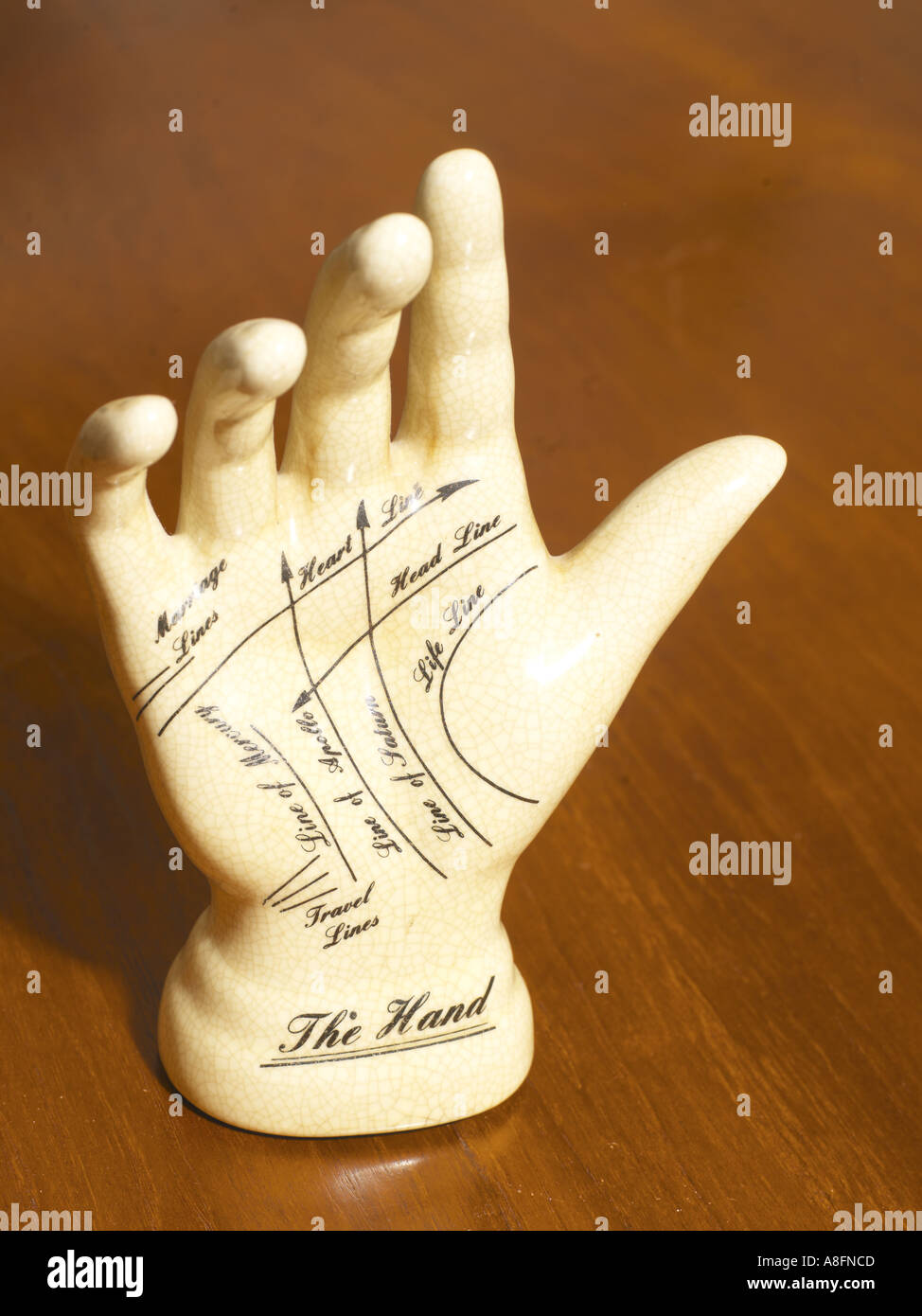 Hand Showing Lifelines Stock Photo - Alamy