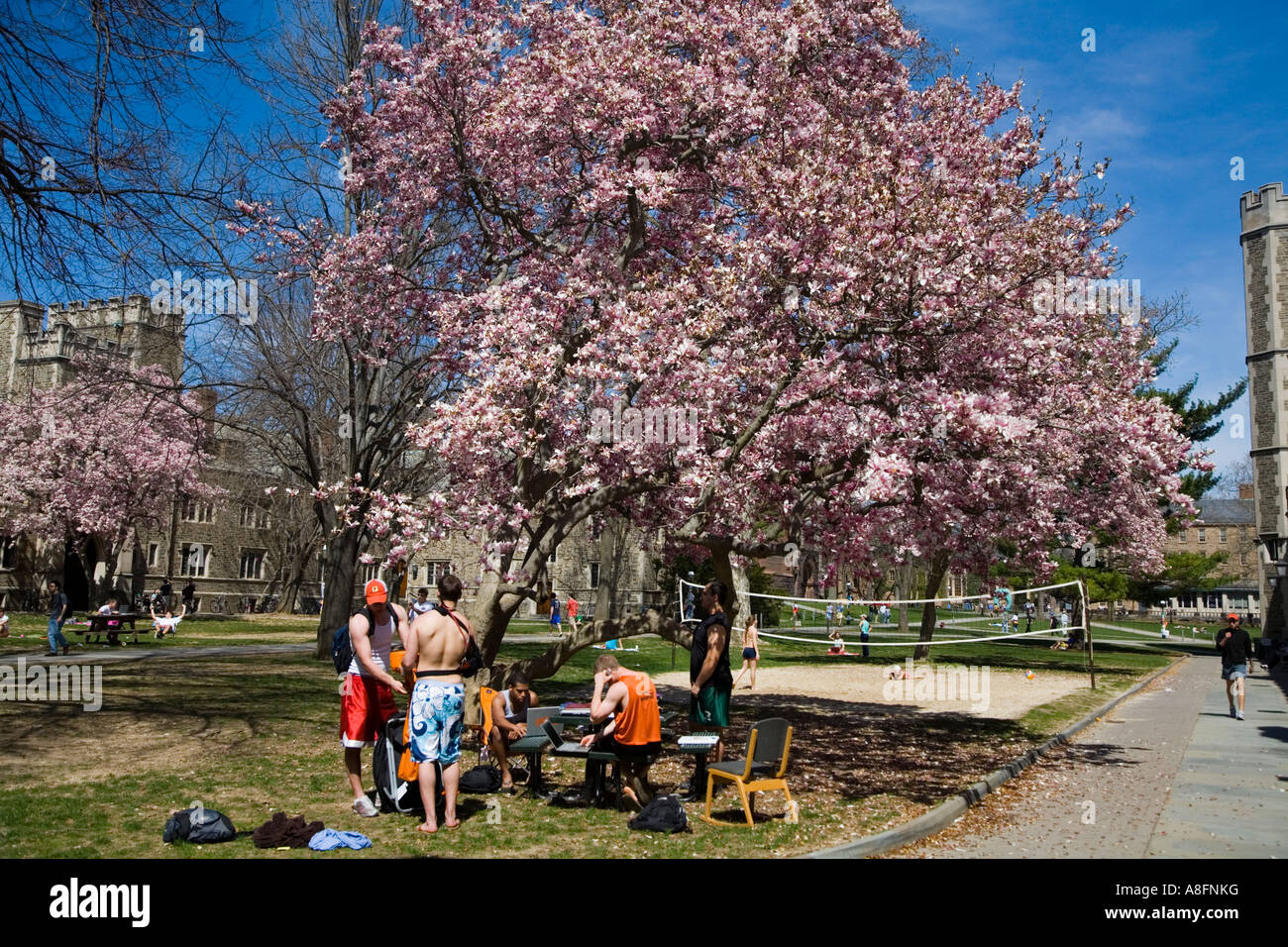 Students Enjoying the Spring Sun on Princeton Campus Stock Photo Alamy