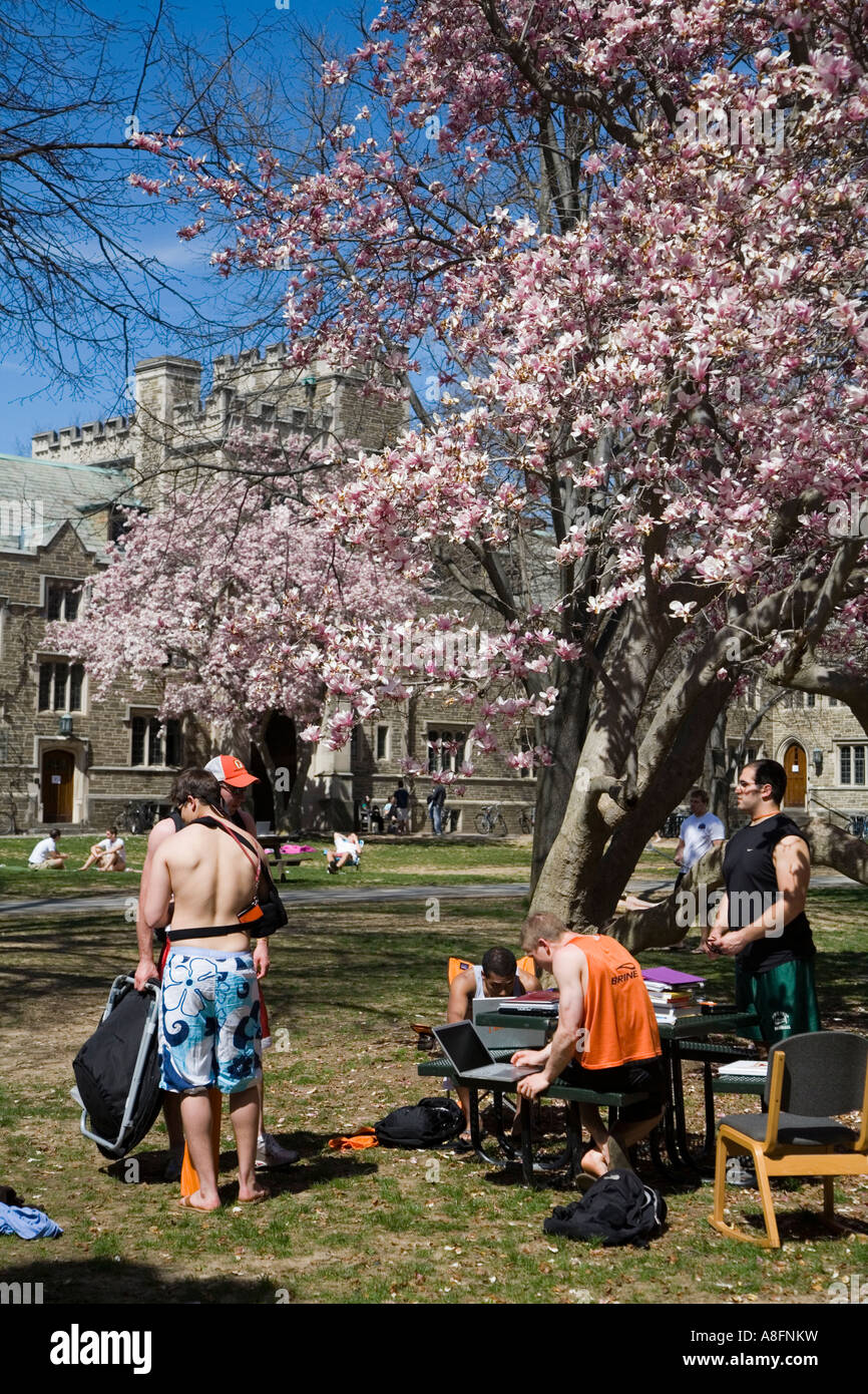 Students Enjoying the Spring Sun on Princeton Campus Stock Photo Alamy