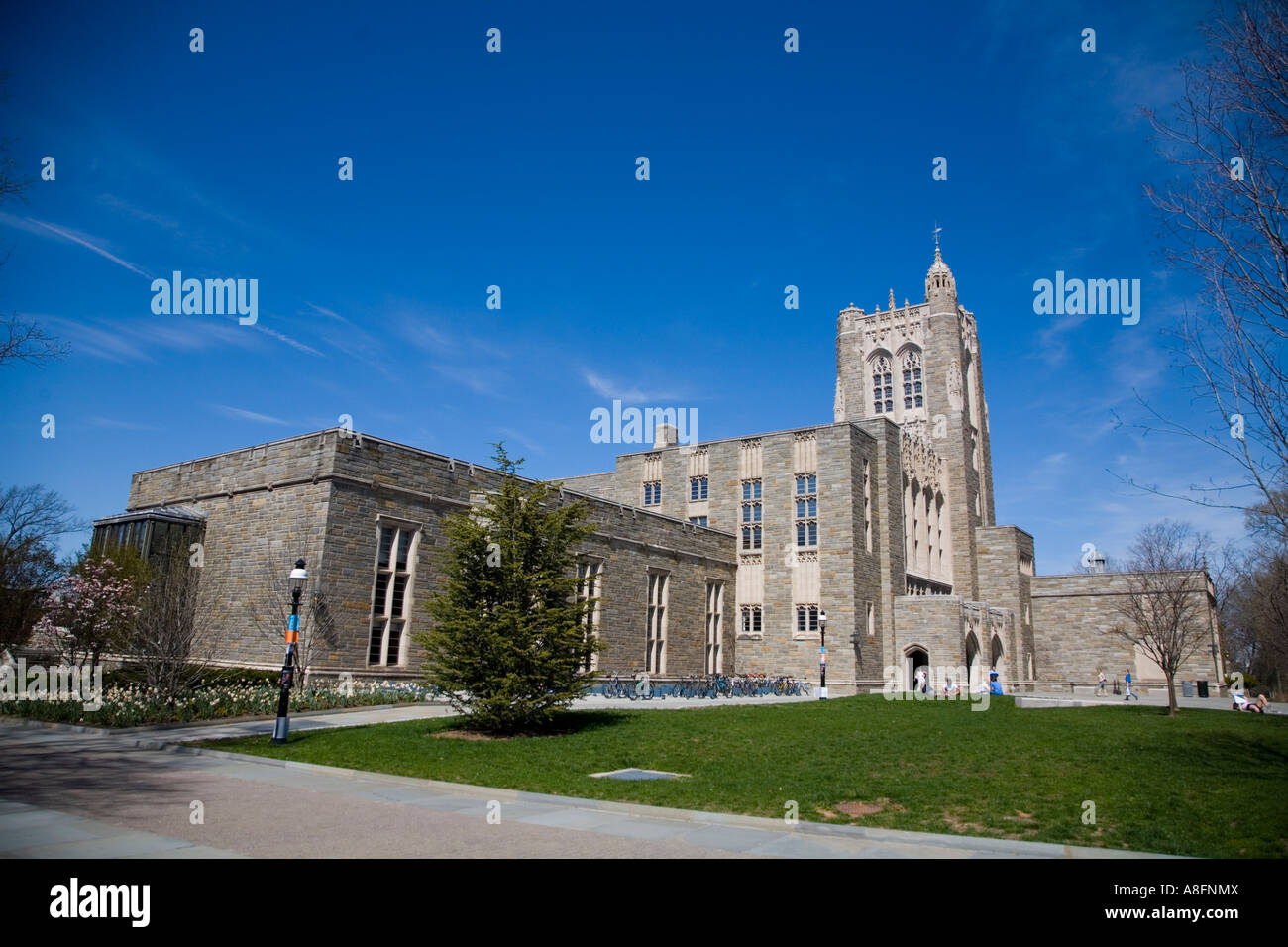 Firestone Library Princeton University Stock Photo Alamy
