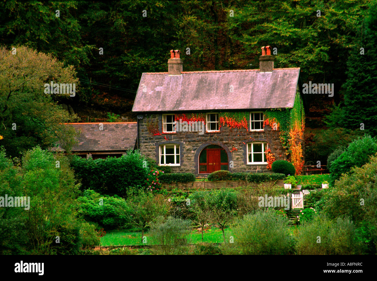 House in a Rural Setting Stock Photo Alamy