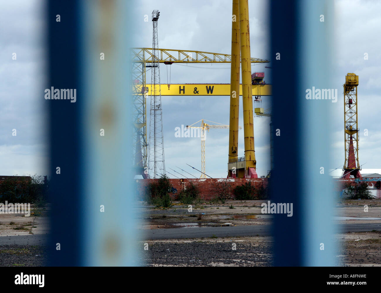Cranes viewed through railings Stock Photo