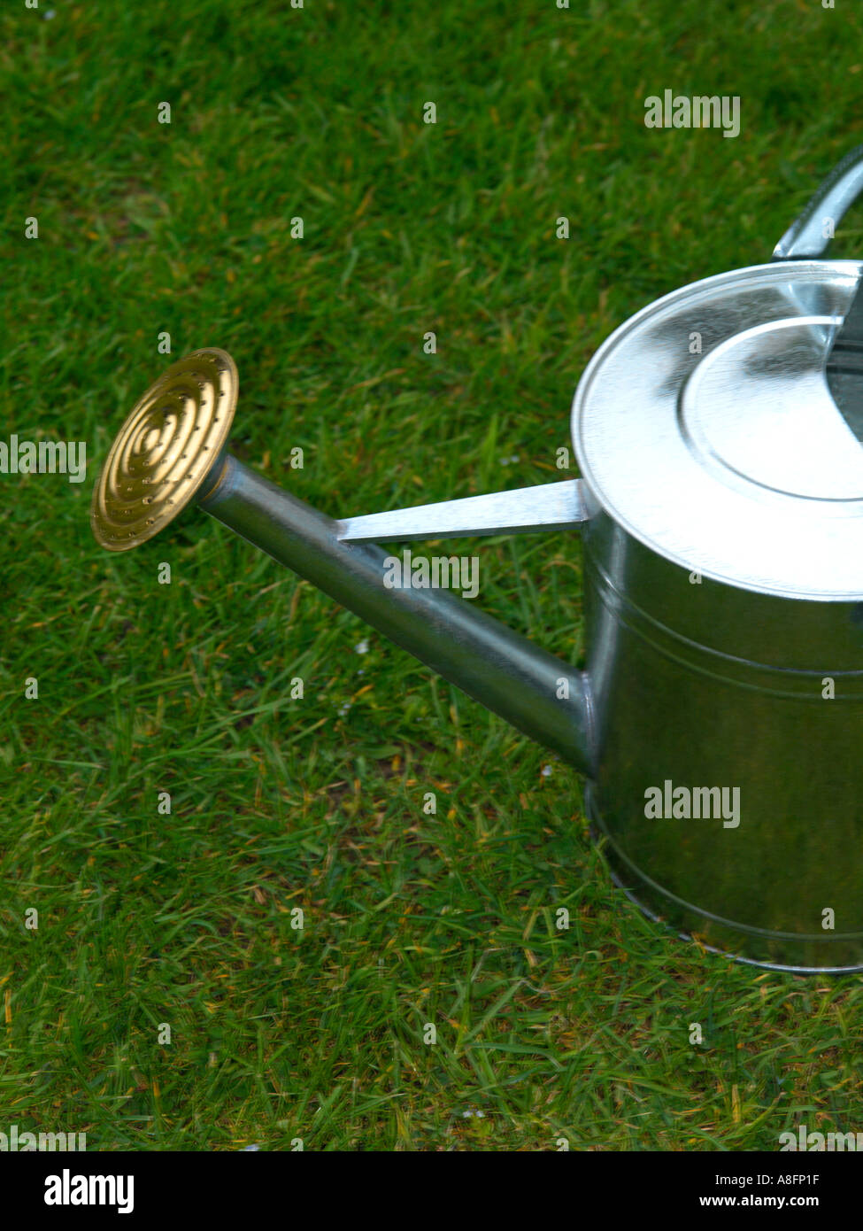 Watering Can Lawn Stock Photo