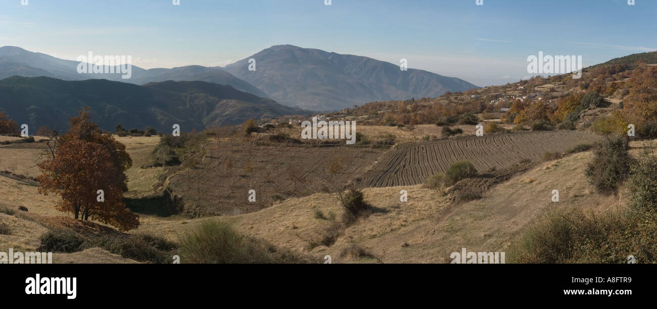 Fields above Portogos LaTaha Alpujarras Andalucia Spain Stock Photo