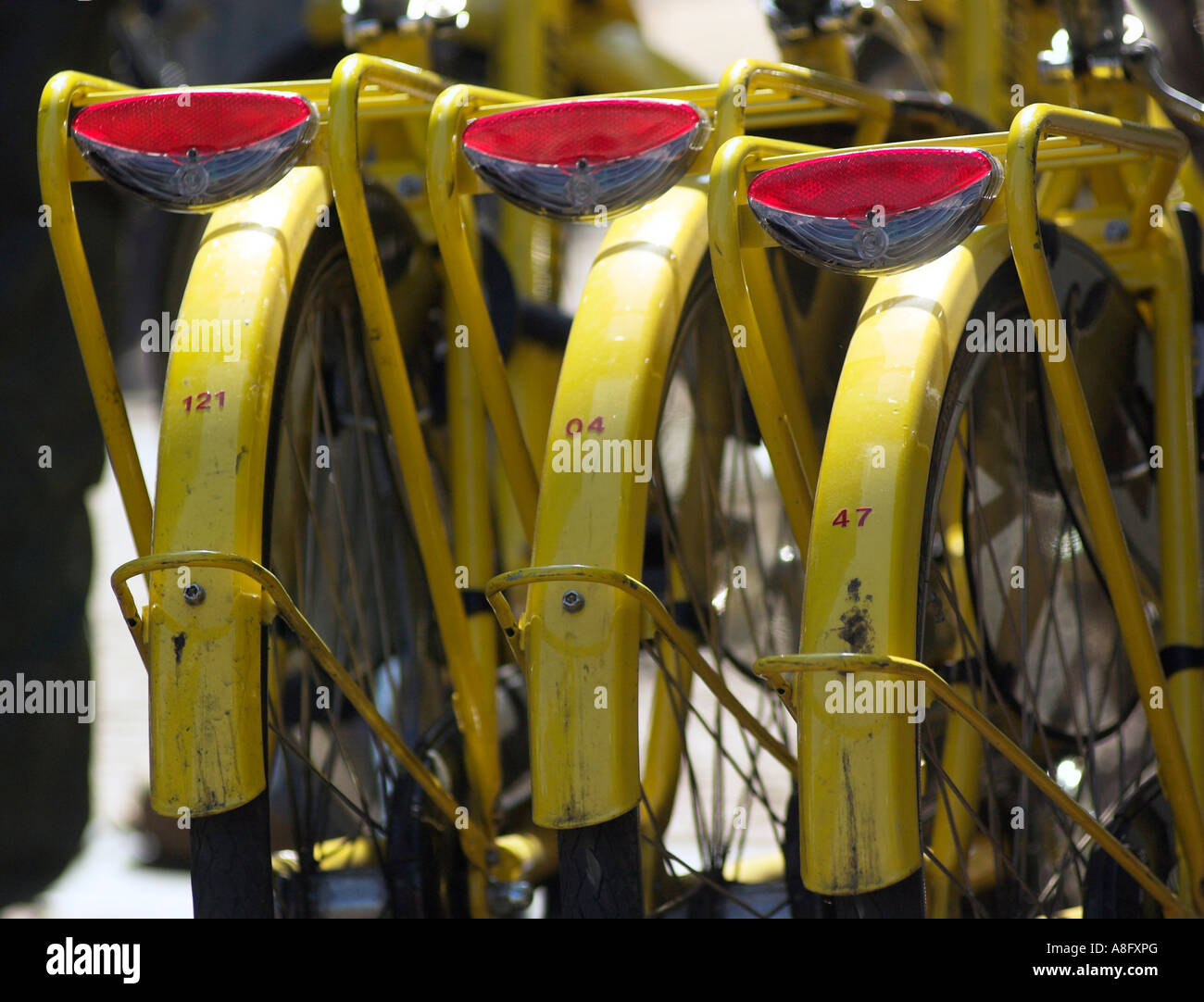 The rear mudguards of three Yellow Bike rental bicycles in Amsterdam Stock Photo
