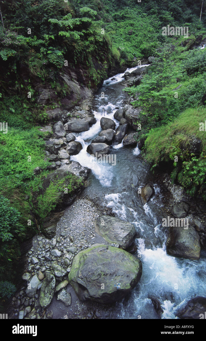 Small waterfall in the himalayas between Lava and Gorubathan West Bengal India Stock Photo