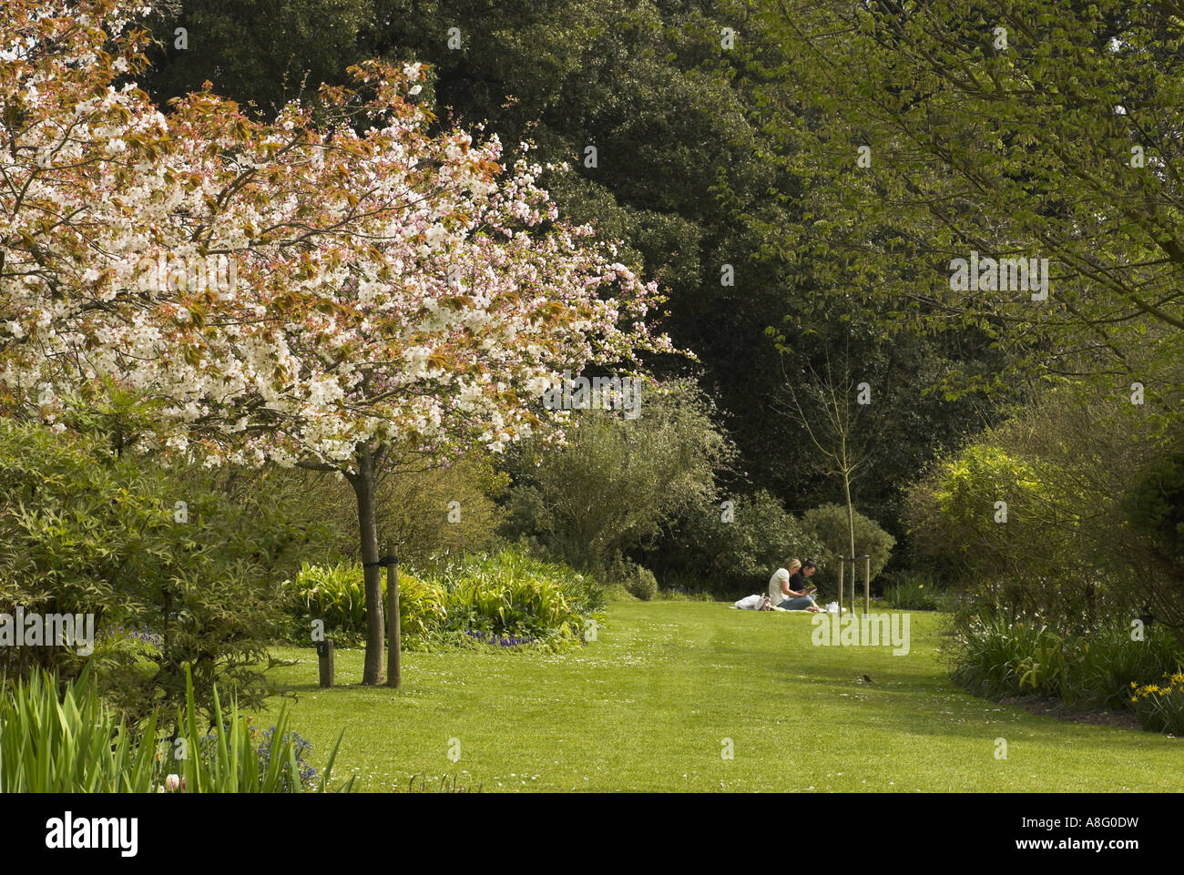 Highdown Gardens, Worthing, West Sussex. Stock Photo