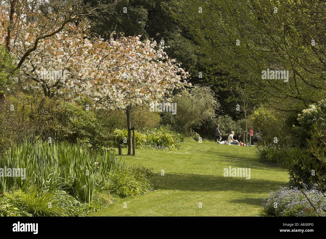 Highdown Gardens, Worthing, West Sussex. Stock Photo