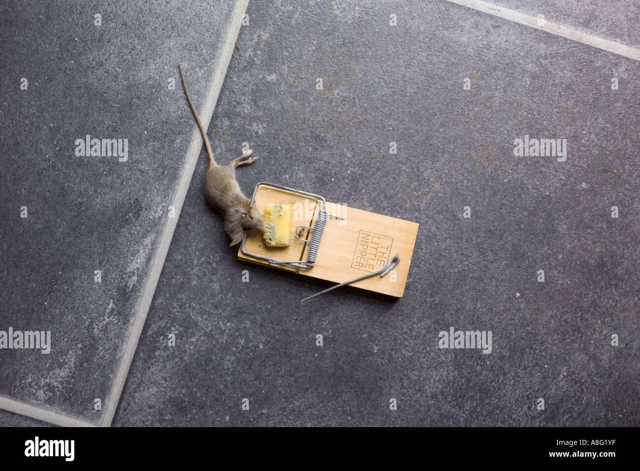 Fired off trap hires stock photography and images Alamy