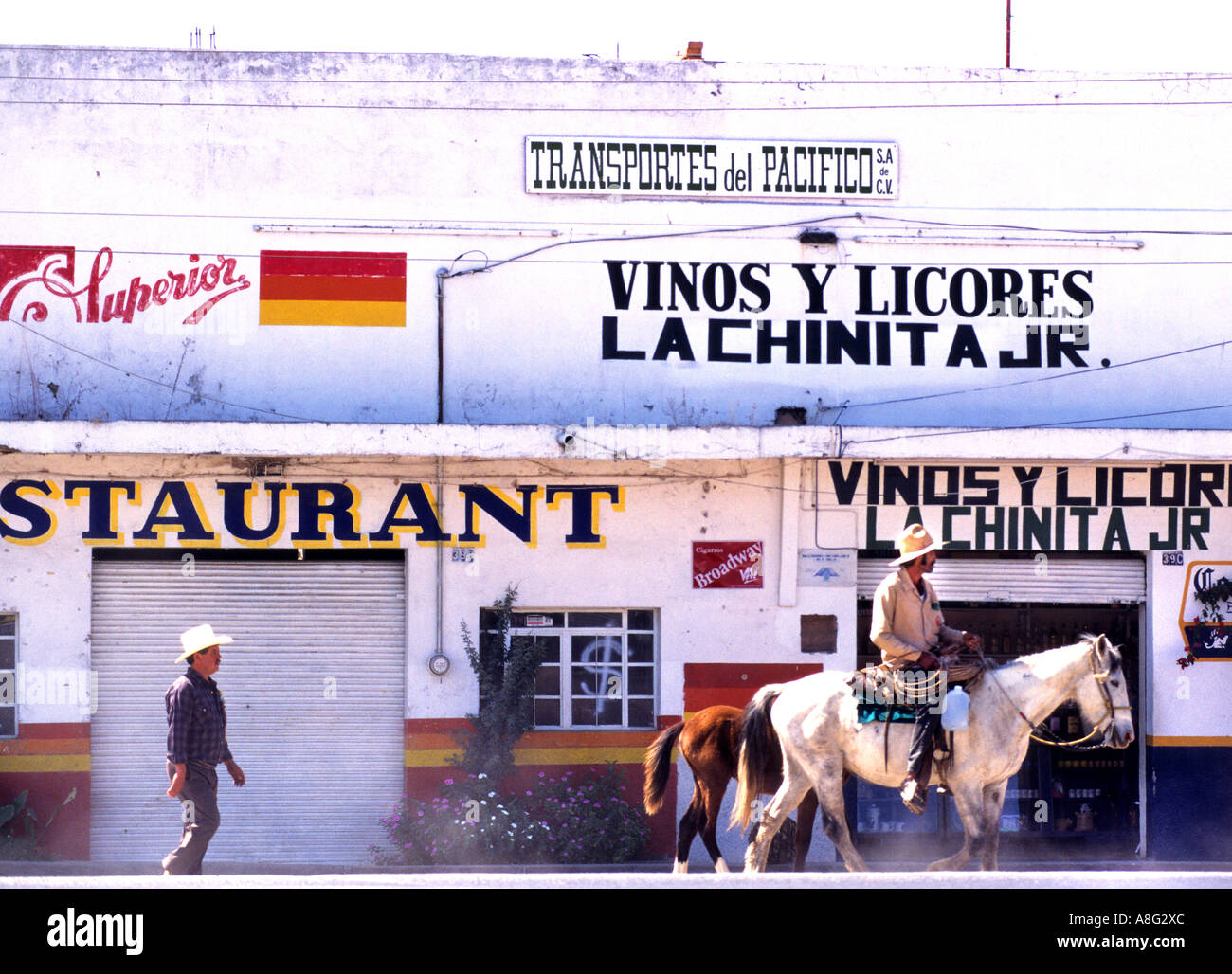 Mexico Tequila Mexican cactus spirit tequilas Stock Photo Alamy