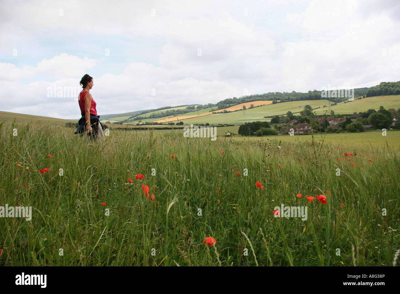 3 July 2005 Woman walks in Sussex Downs near East Dean West Sussex England Stock Photo