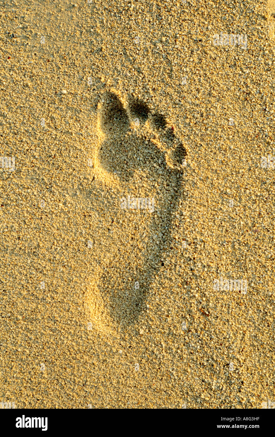 footprint in sand, Australia Stock Photo