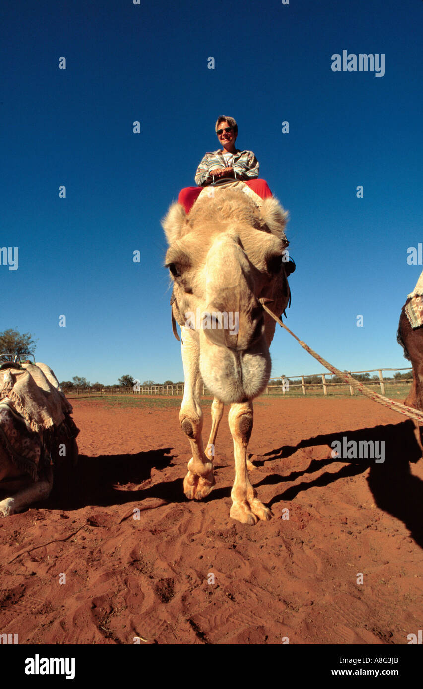 Australia desert camel ride hi-res stock photography and images - Alamy