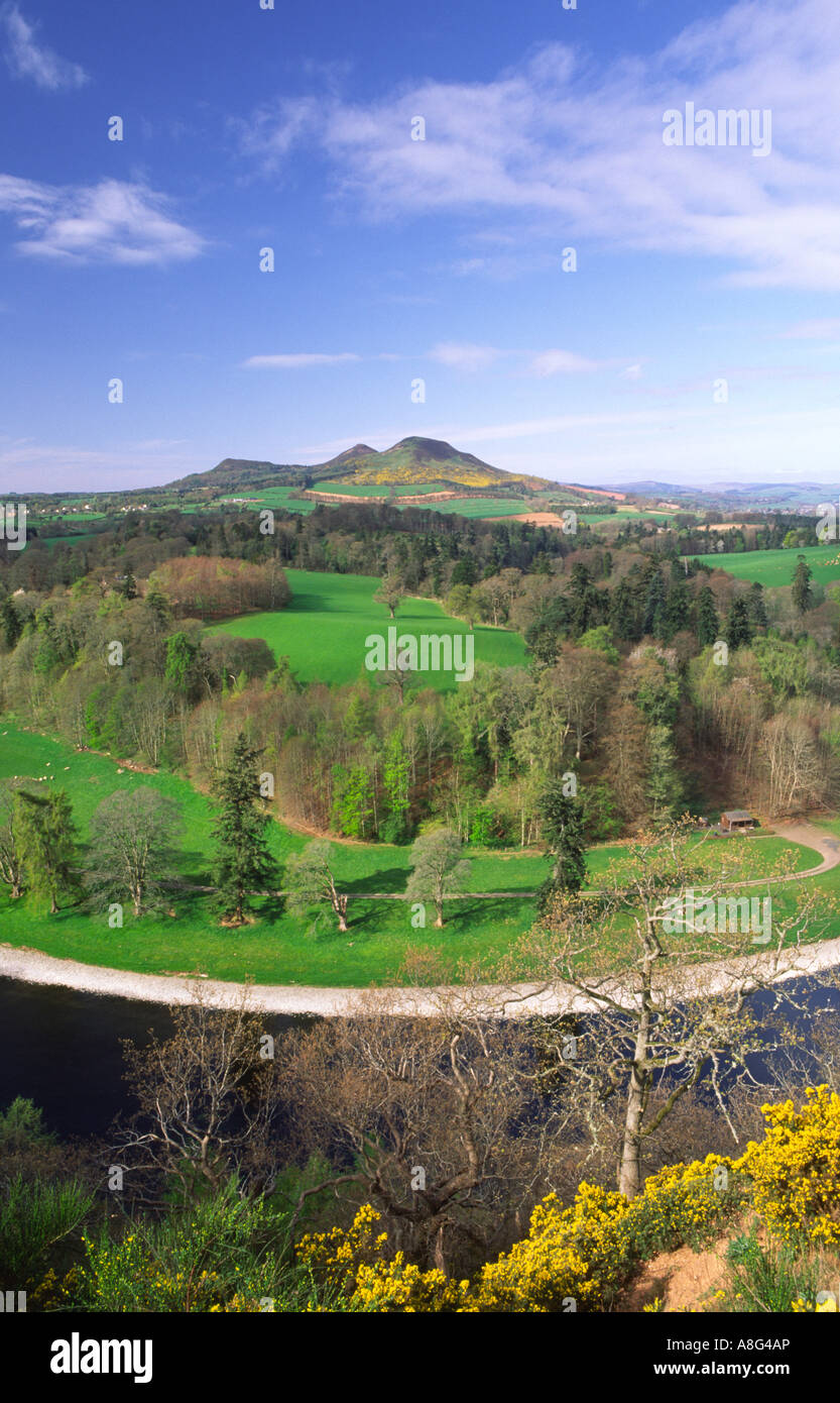 Spring looking across the River Tweed to the Eildon Hills above Melrose ...