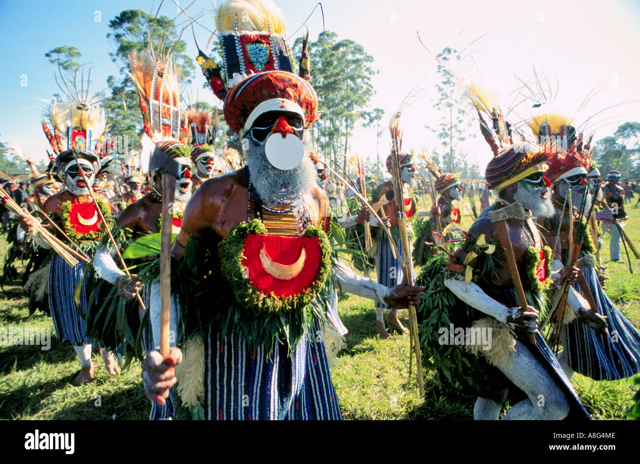 decorated aboriginal, Mt. Hagen, Papua New Guinea Stock Photo