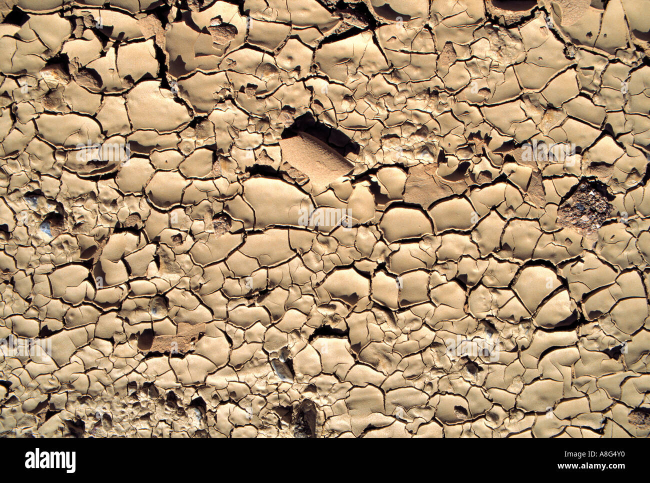 Cracks in the clay hi-res stock photography and images - Alamy