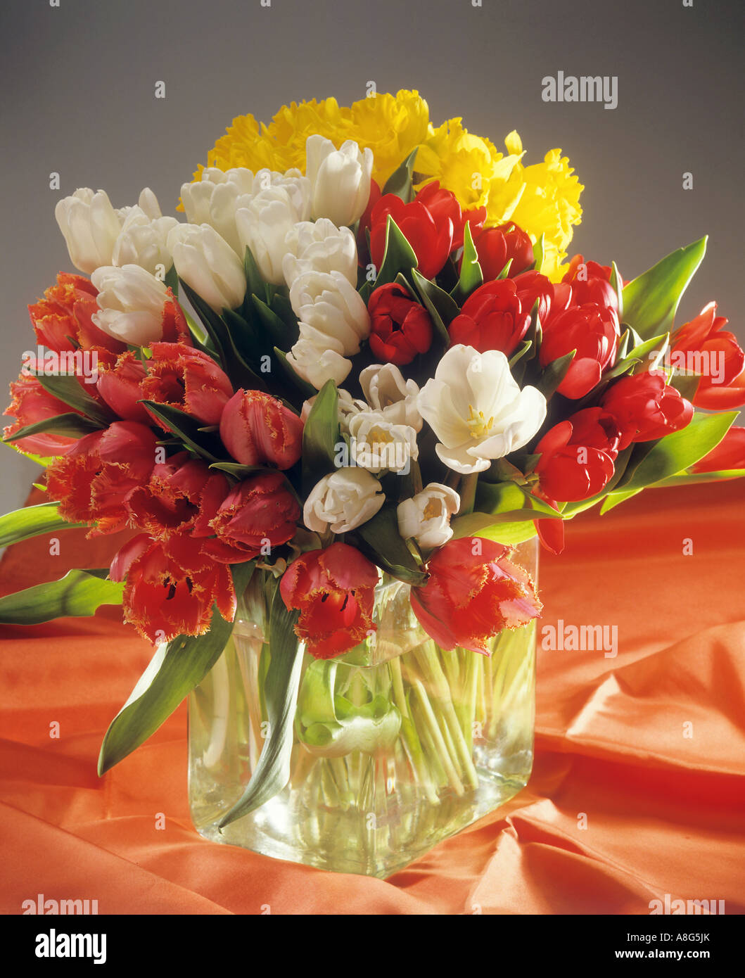bouquet with tulips and daffodils Stock Photo - Alamy
