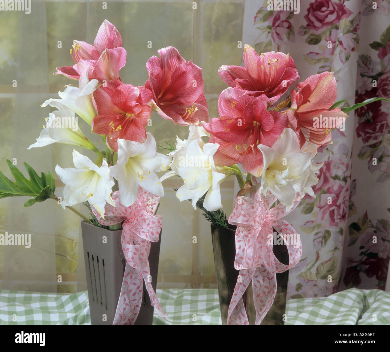 bouquets with amaryllis Stock Photo