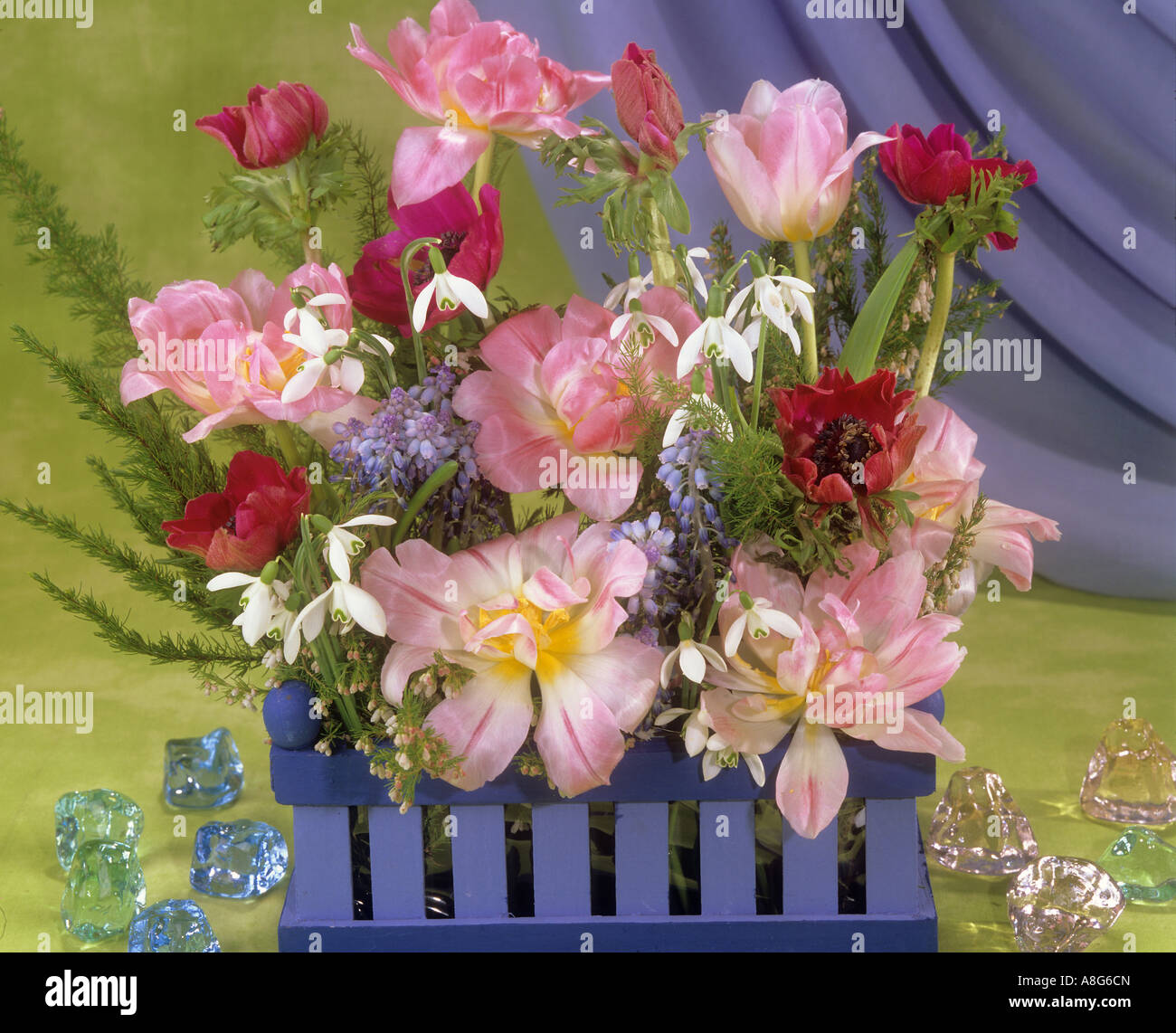 bouquet with tulips , anemones , Stock Photo
