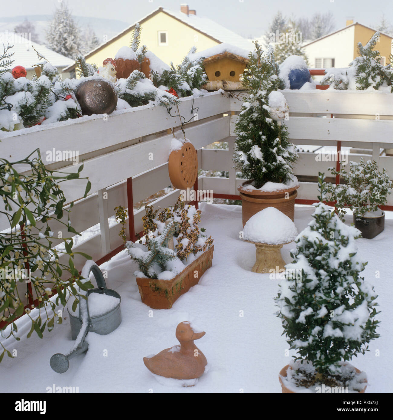 different plants on balcony winter Stock Photo Alamy