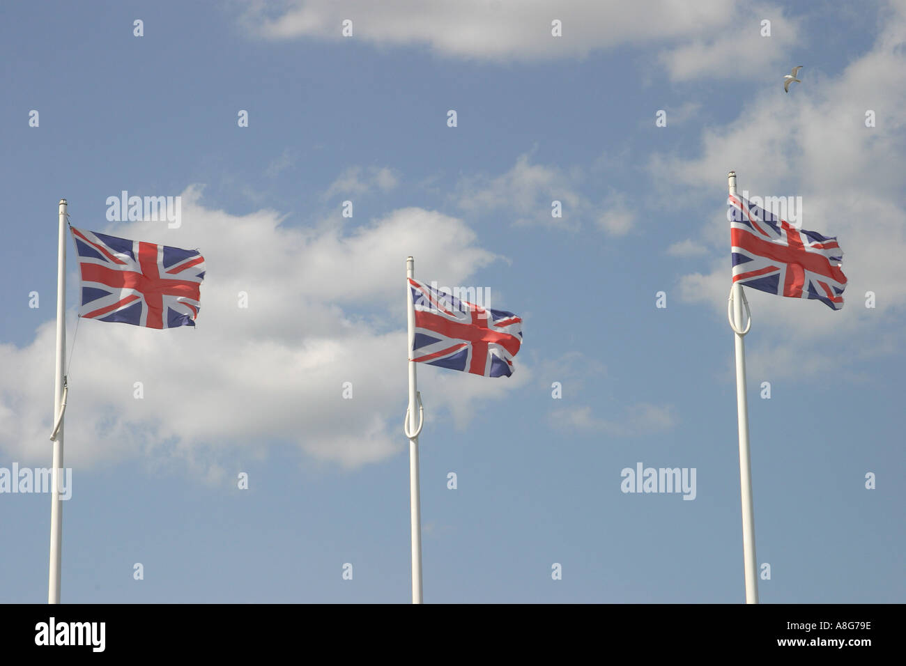 Union jack national flags poles hi-res stock photography and images - Alamy