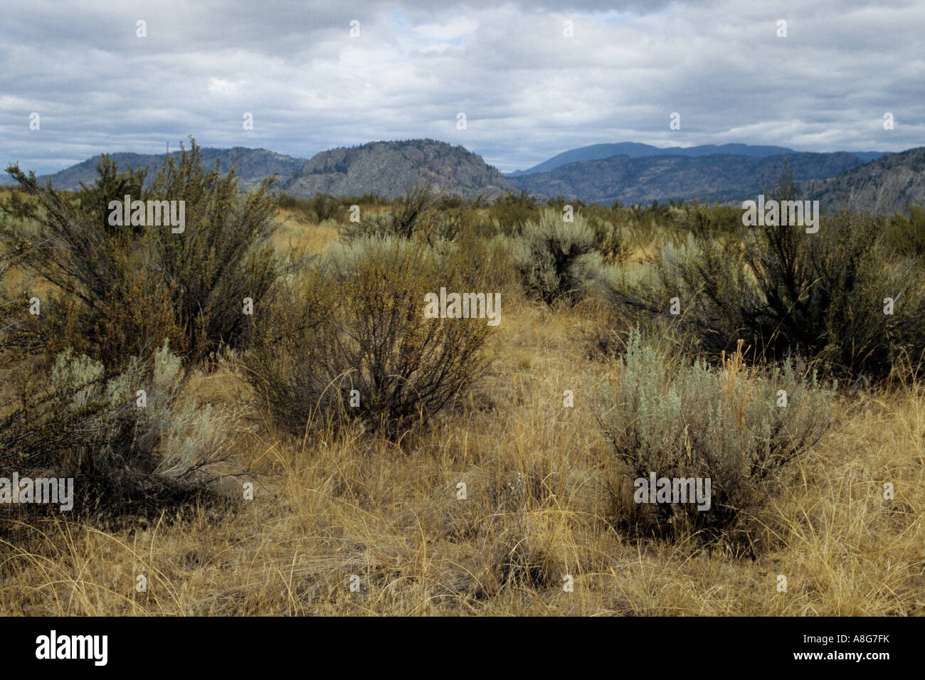 Osoyoos Desert Centre Osoyoos British Columbia Canada Stock Photo Alamy