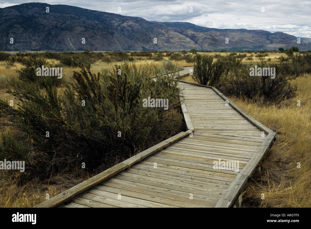 Scenic Boardwalk At Osoyoos Desert Centre Osoyoos British Columbia Canada Stock Photo Alamy