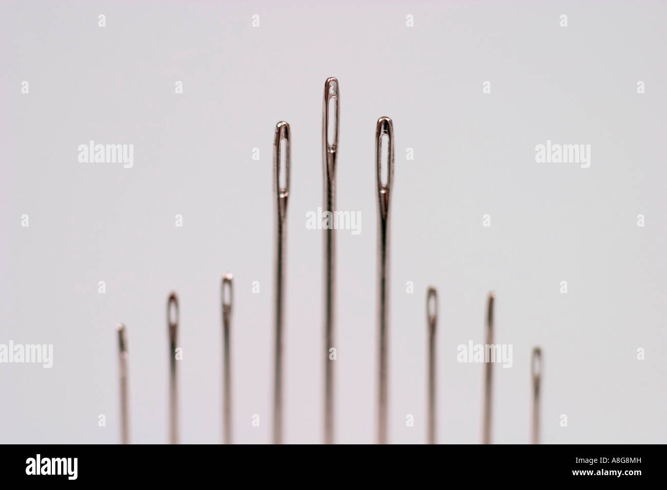 Needles of different sizes Stock Photo Alamy