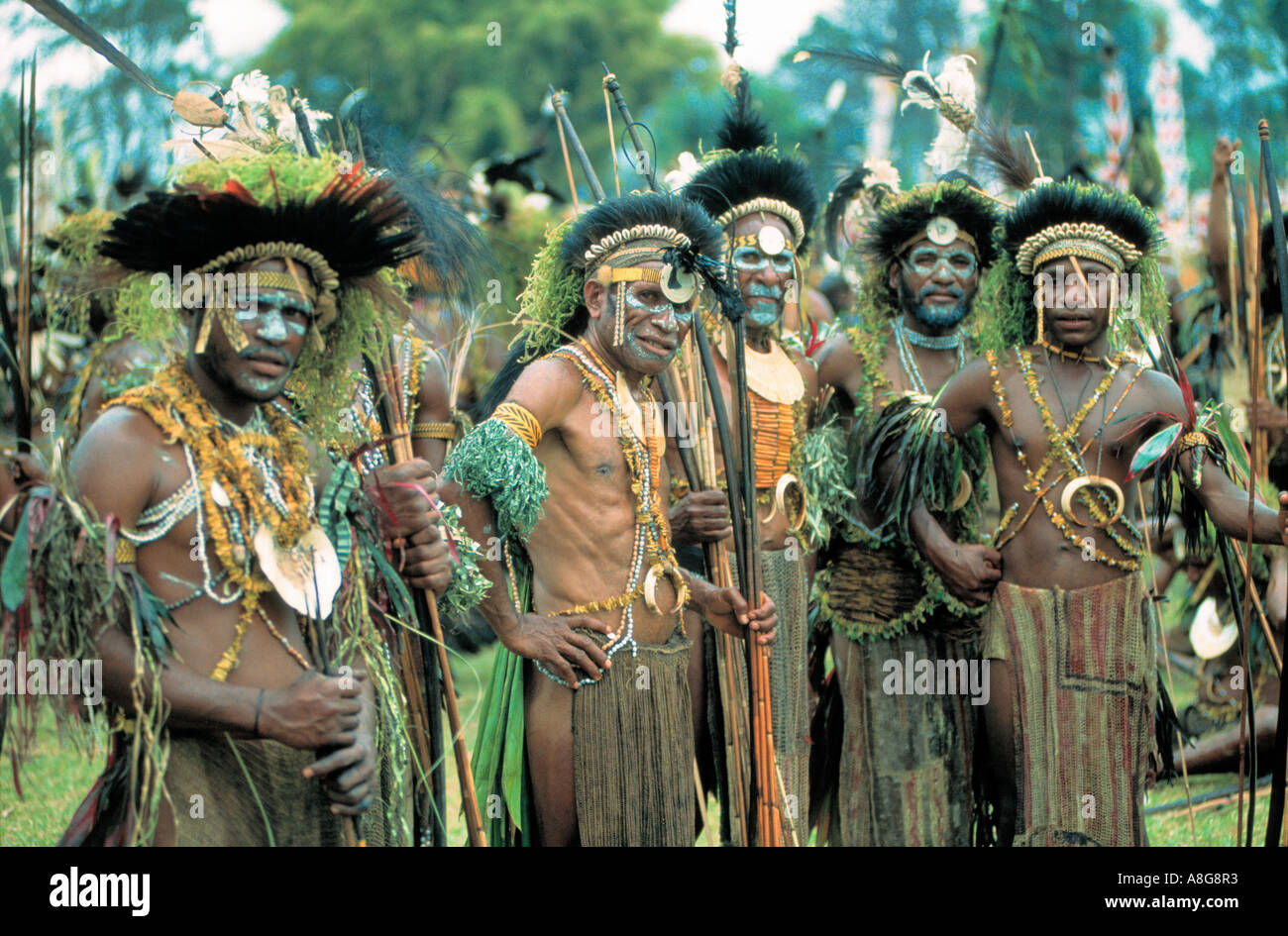 decorated aboriginal, Goroka, Papua New Guinea Stock Photo: 6911602 - Alamy