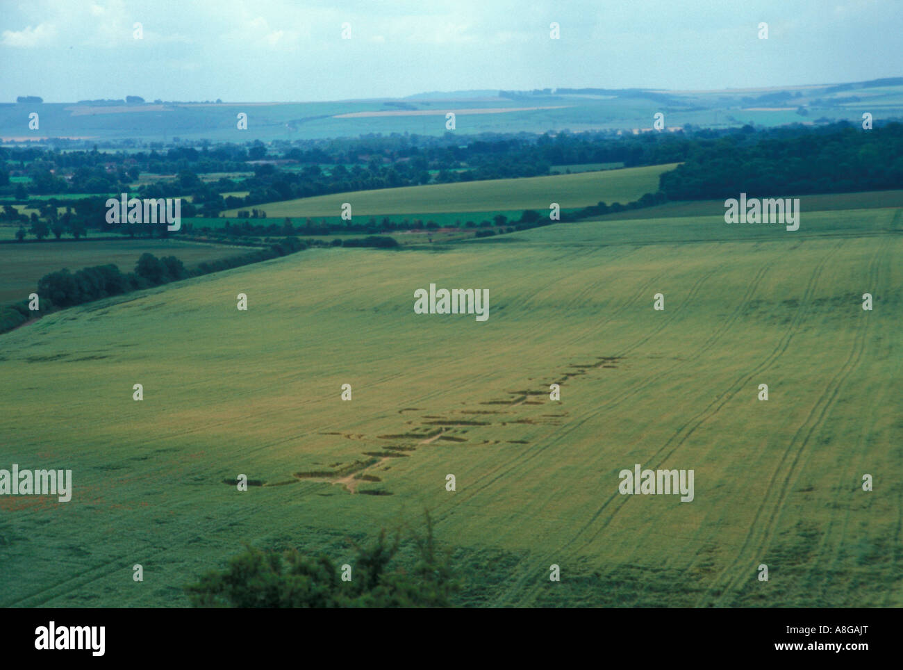 Crop Circles from Knapp Hill  Wiltshire England UK Stock Photo