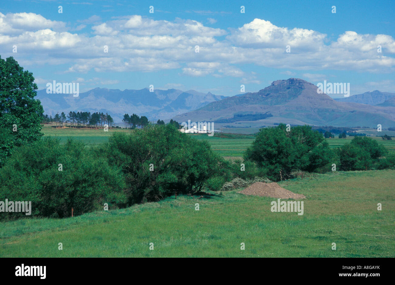 The Drakensberg Mountains north of Underberg Natal South Africa Stock ...