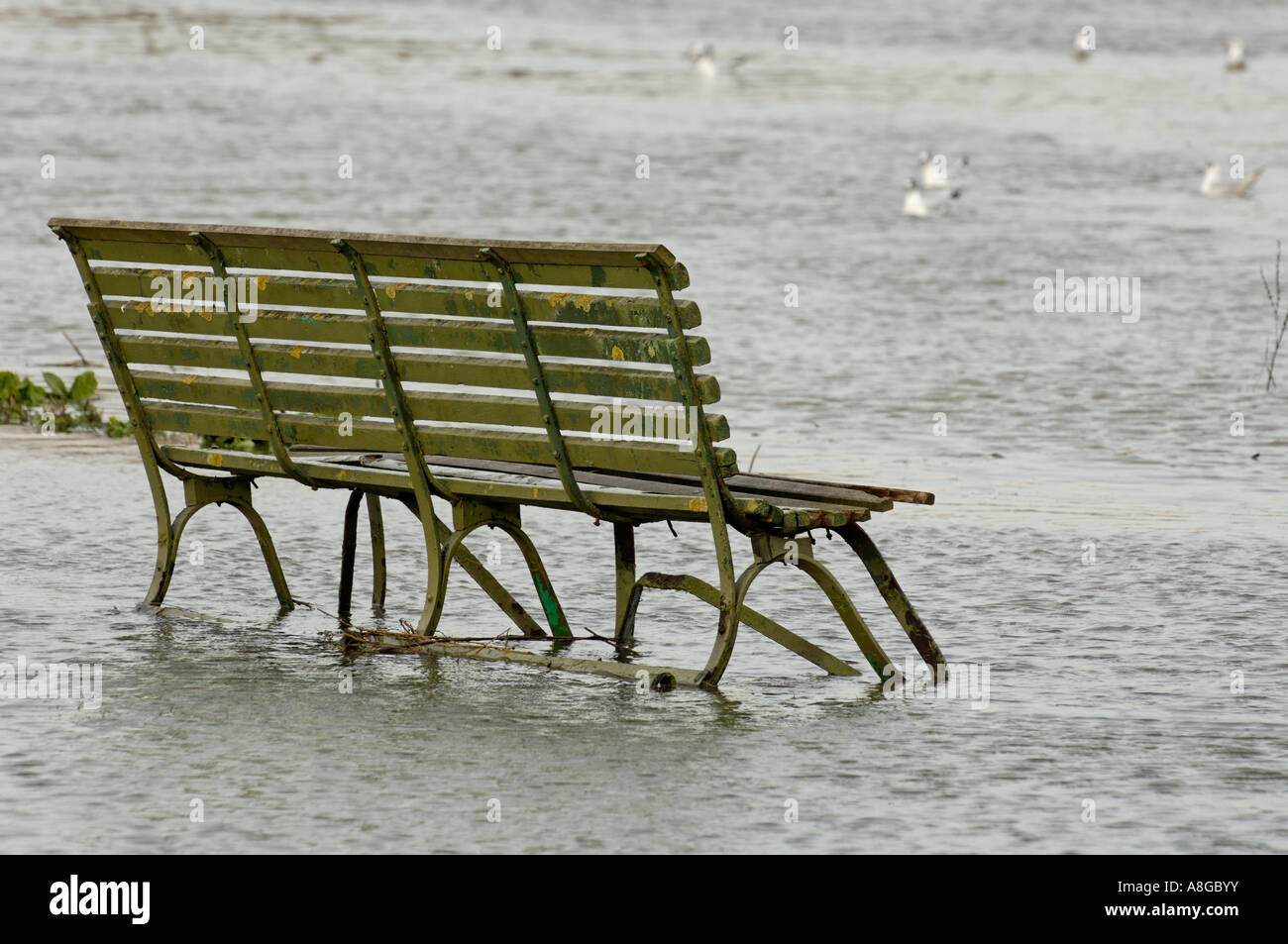 A riverside bench over run by high tide in the Thames Stock Photo Alamy