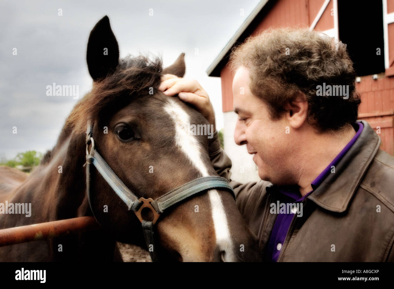 man talking to horse in front of barn Stock Photo